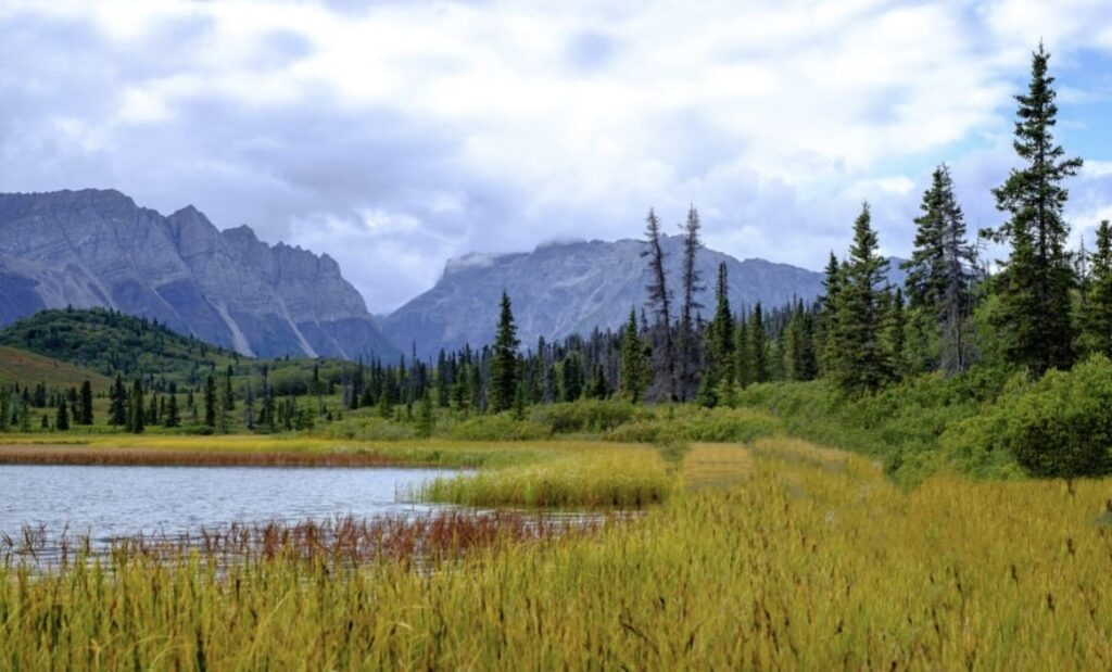 denali national park
